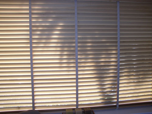 in window blinds